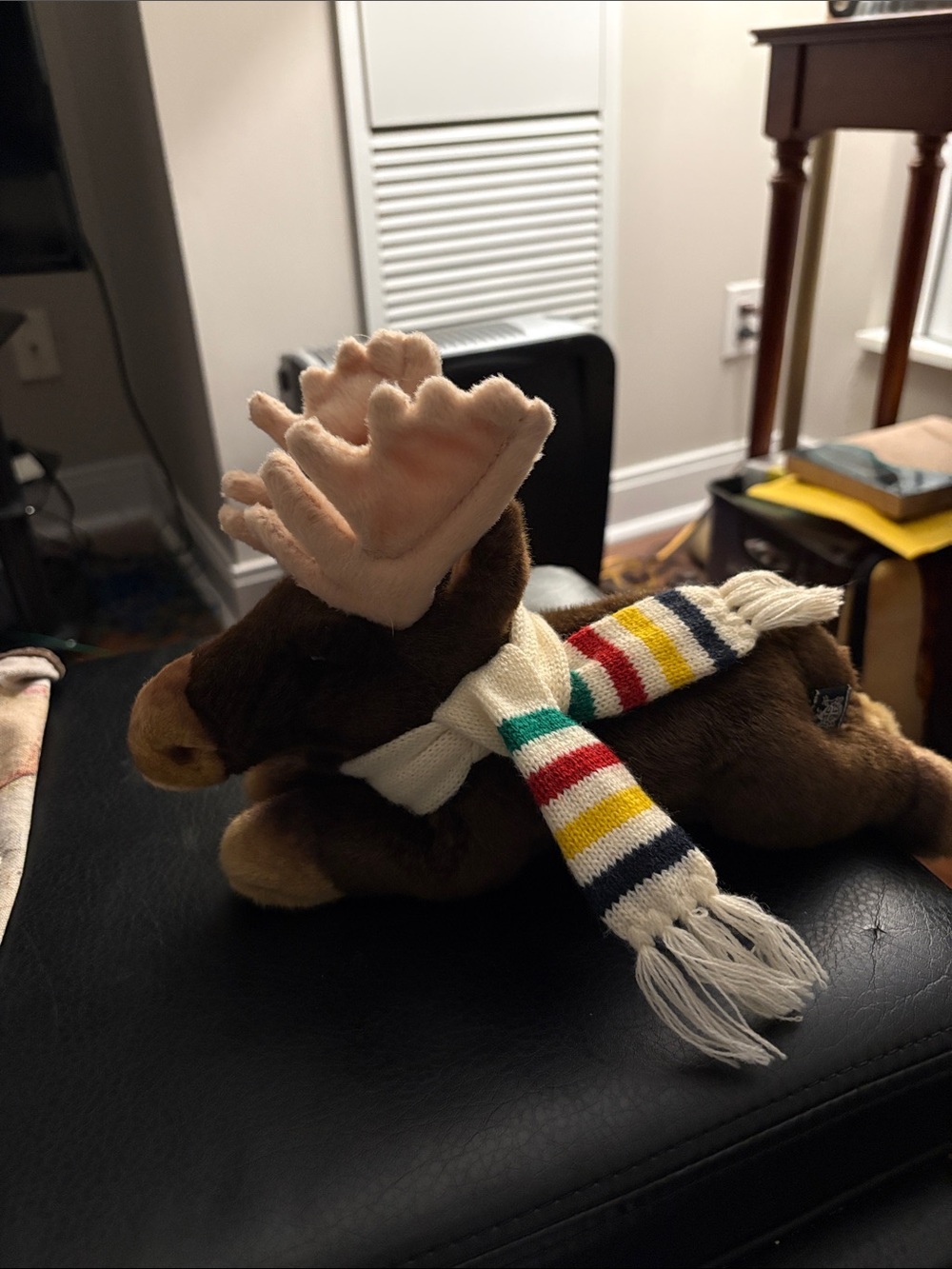 2014 Sochi Winter Olympics Canada Team Moose Hudson Bay Company